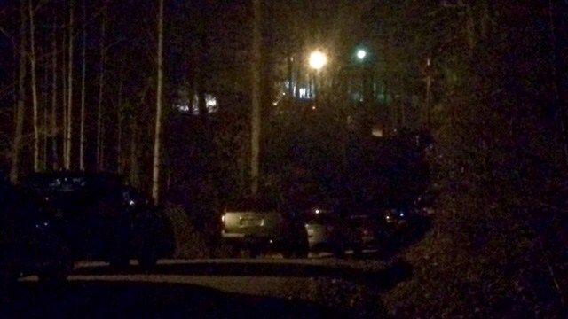 Scene of standoff on Staunton Bridge Road. (FOX Carolina/ 1/20/17)
