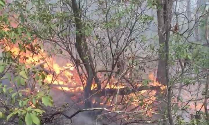 Flames burning near Marion (Courtesy: U.S. Forest Service)