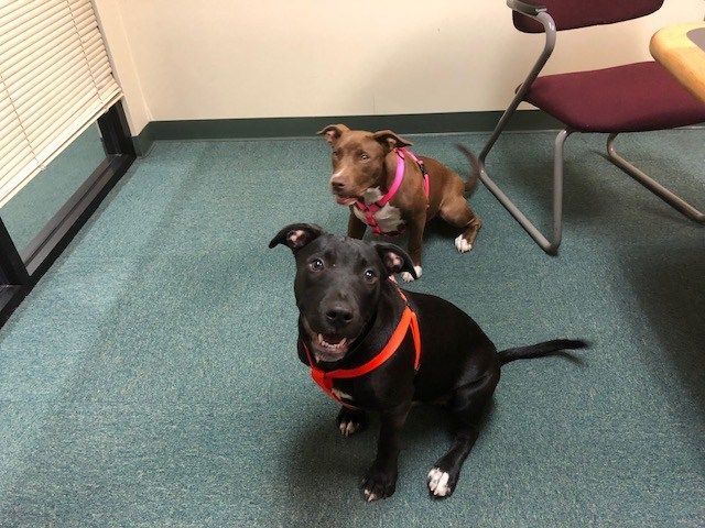 Keygen crack serial Keygen crack serial