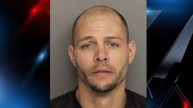 Deputies: K-9 apprehends kidnapping suspect after Greenville Co. - FOX