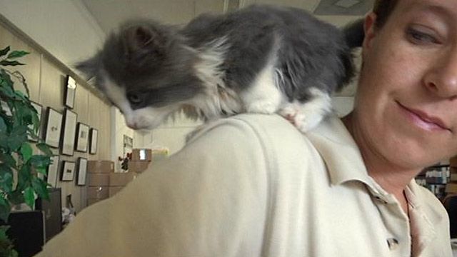 Forum Image: http://whns.images.worldnow.com/images/22412562_SA.jpg