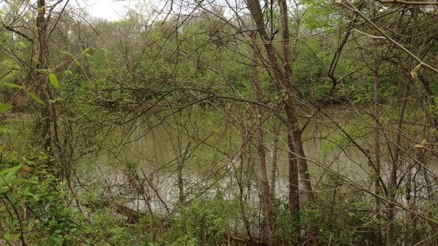 Vehicle plummets into Broad River near Blacksburg - FOX 8 ...